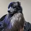 Josh Blaisdell - @joshblaisdell3 - TikTok