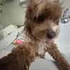 joshblais778 - @joshblais778 - TikTok