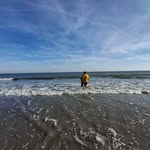 Josh Blankenship - @joshua1278524 - Instagram