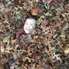 Josh Boggs - @jb6481 - TikTok