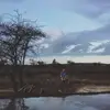 Josh Boggs - @joshboggs8 - TikTok