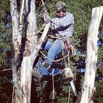 Josh Boggs Tree Service - @logger_joshboggstreeservice - Instagram