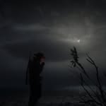 Josh Bonner - @joshbonner - Instagram