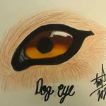 Josh Bowerman - @uaajosh - Instagram