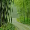 Joseph Boyum - @joseph.boyum - TikTok