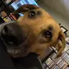 Josh. Branch - @josh.branch7 - TikTok