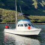 Josh Brandenburg - @aloha_fishing_adventures - Instagram