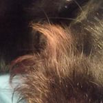 Josh Bricker - @anime.man59 - Instagram