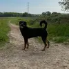 Josh Britton - @joshbritton3 - TikTok