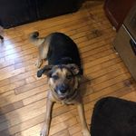 Josh Broderick - @jbhawks10 - Instagram