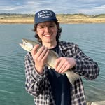 Joshua Brownell - @joshybrownie - Instagram