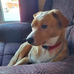 Josh Budden - @jdtbudden - Instagram
