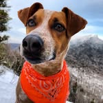 Josh Burns - @ogjoshburns - Instagram