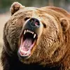 josh burson - @josh.burson - TikTok