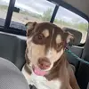 Josh Cagle - @josh.cagle - TikTok