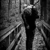 Josh Chaney - @josh.chaney90 - TikTok
