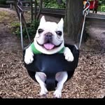 Joshua Chung - @_josh.chung_ - Instagram