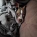 Josh Cleland - Facebook