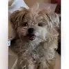 Josh Coasta - @josh.coasta - TikTok