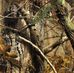Josh Comer - Facebook