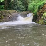 Josh comer - @comers_creek_catches - Instagram