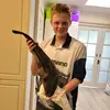 Josh Connors - @joshconnors - TikTok