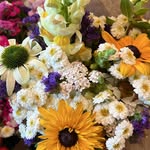 Josh Conover - @mapledreamflowerfarm - Instagram