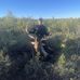 Josh Coons - Facebook