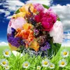 Josh Cornell - @2155636389 - TikTok