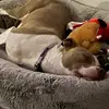 Josh Crabtree - @josh.crabtree4 - TikTok