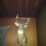 Josh Craft - @josh_craft2003 - Instagram