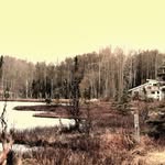 Josh Craft - @ak_shwa - Instagram