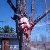 Josh Craven - @josh.craven.1671 - Instagram