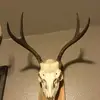joosh - @joshcushing58 - TikTok