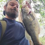 Josh Danford - @josh_the_gorilla - Instagram