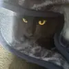 Joshua Darlington - @joshua.darlington - TikTok