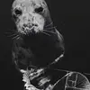 JoshDaYungOG - @joshdayungog - TikTok