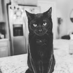Josh - @josh.deckman - Instagram