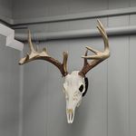 Josh DeWitt - @hikehuntmichigan - Instagram