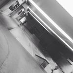 Josh Dibble - @dibble_josh - Instagram