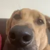 Josh - @josh.dowell - TikTok