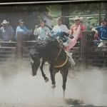 Josh Doyle - @doyle8951 - Instagram