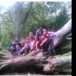 josh Doyle - @josh_doyle_2345 - Instagram