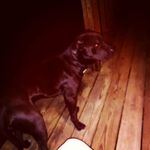 Josh Dukes - @josh.dukes.3998 - Instagram