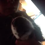 Josh Dunning - @joshdunning9 - Instagram