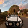 JD - @joshdyson03 - TikTok
