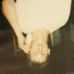 Josh Eidson - Facebook