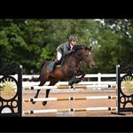 Josh Ellery - @joshellery123 - Instagram