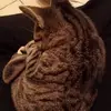 Josh Keller - @josh.keller6 - TikTok