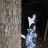 josh elmore - @joshelmore5 - TikTok